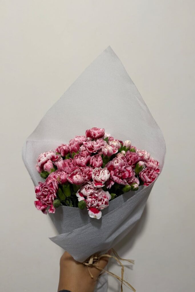 A minimalist bouquet of pink carnations wrapped in white paper, perfect for special occasions.